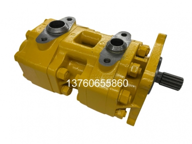 SD16双(shuang)联泵